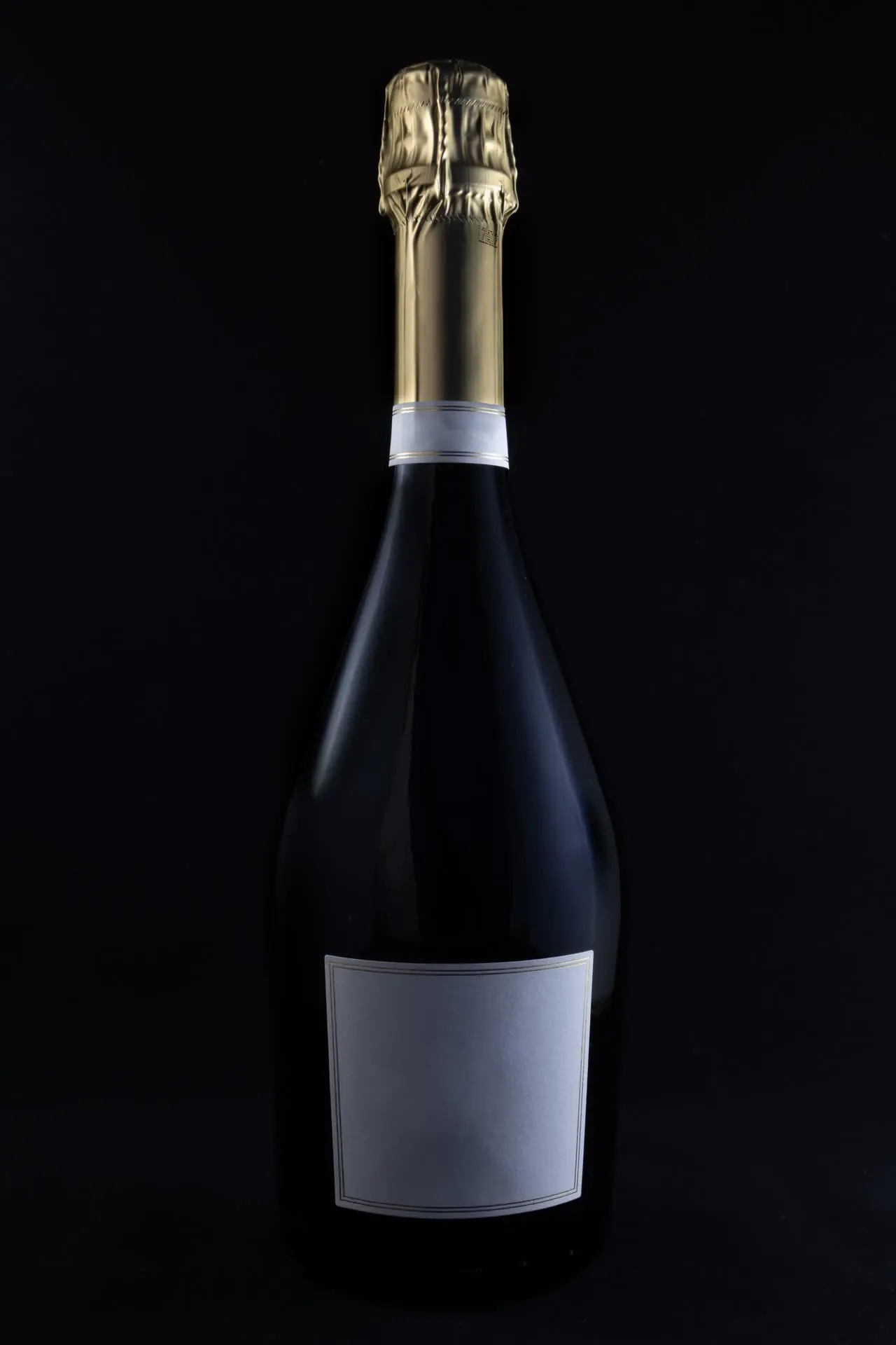 Champagne Blanc de Noirs