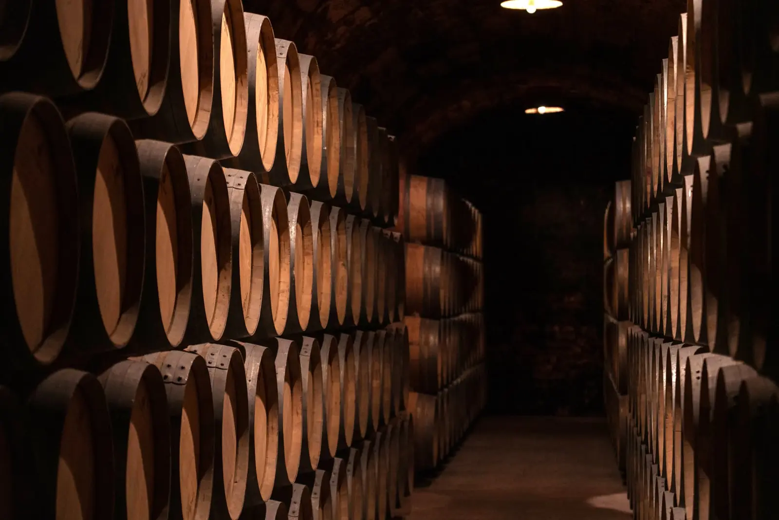 Cave voûtée